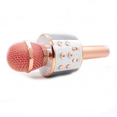 Microfon wireless sistem karaoke profesional cu boxe si Bluetooth WS-858